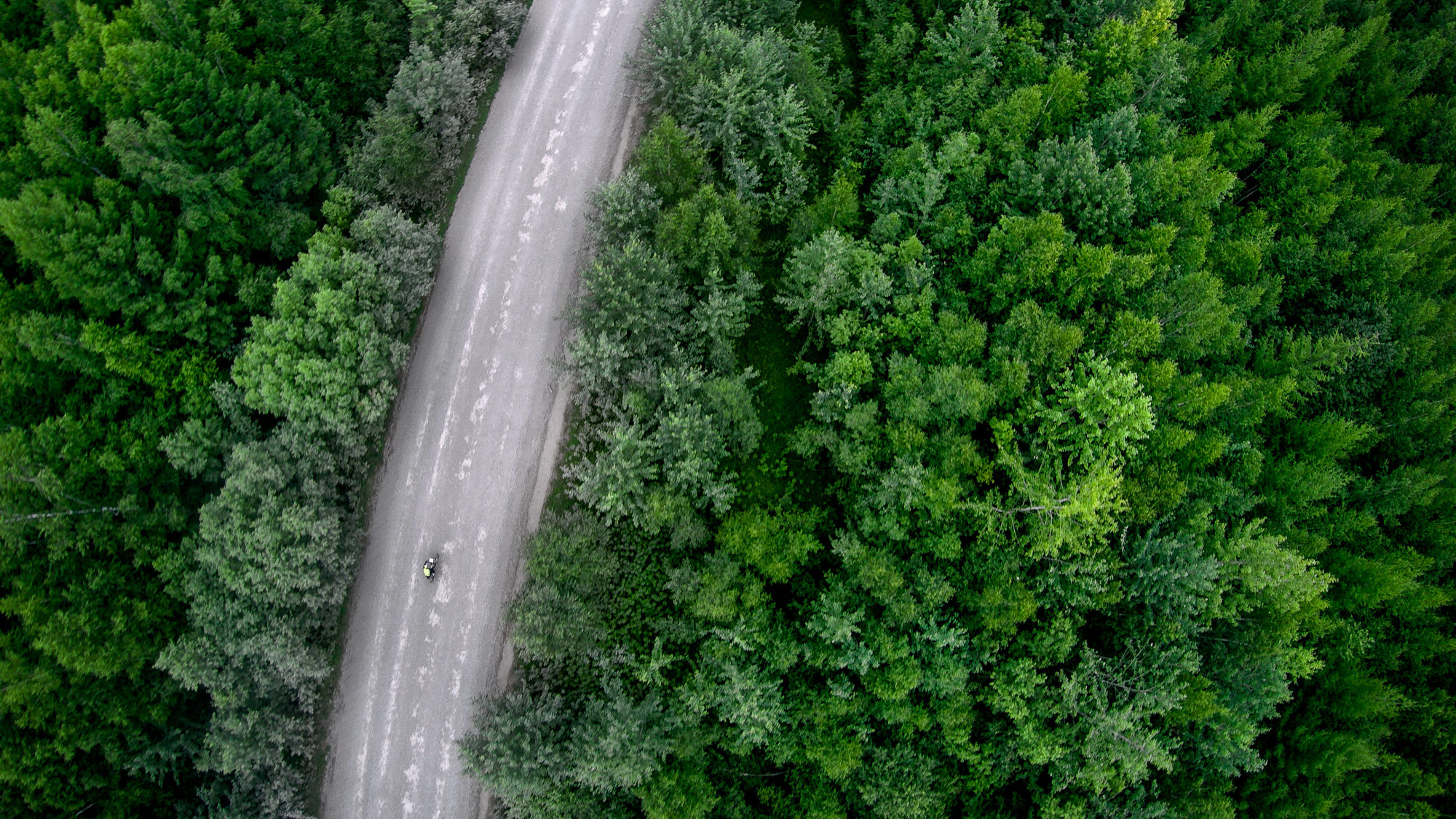 Foto di Aldo Mazzocchi pedala su una strada che attraversa una foresta