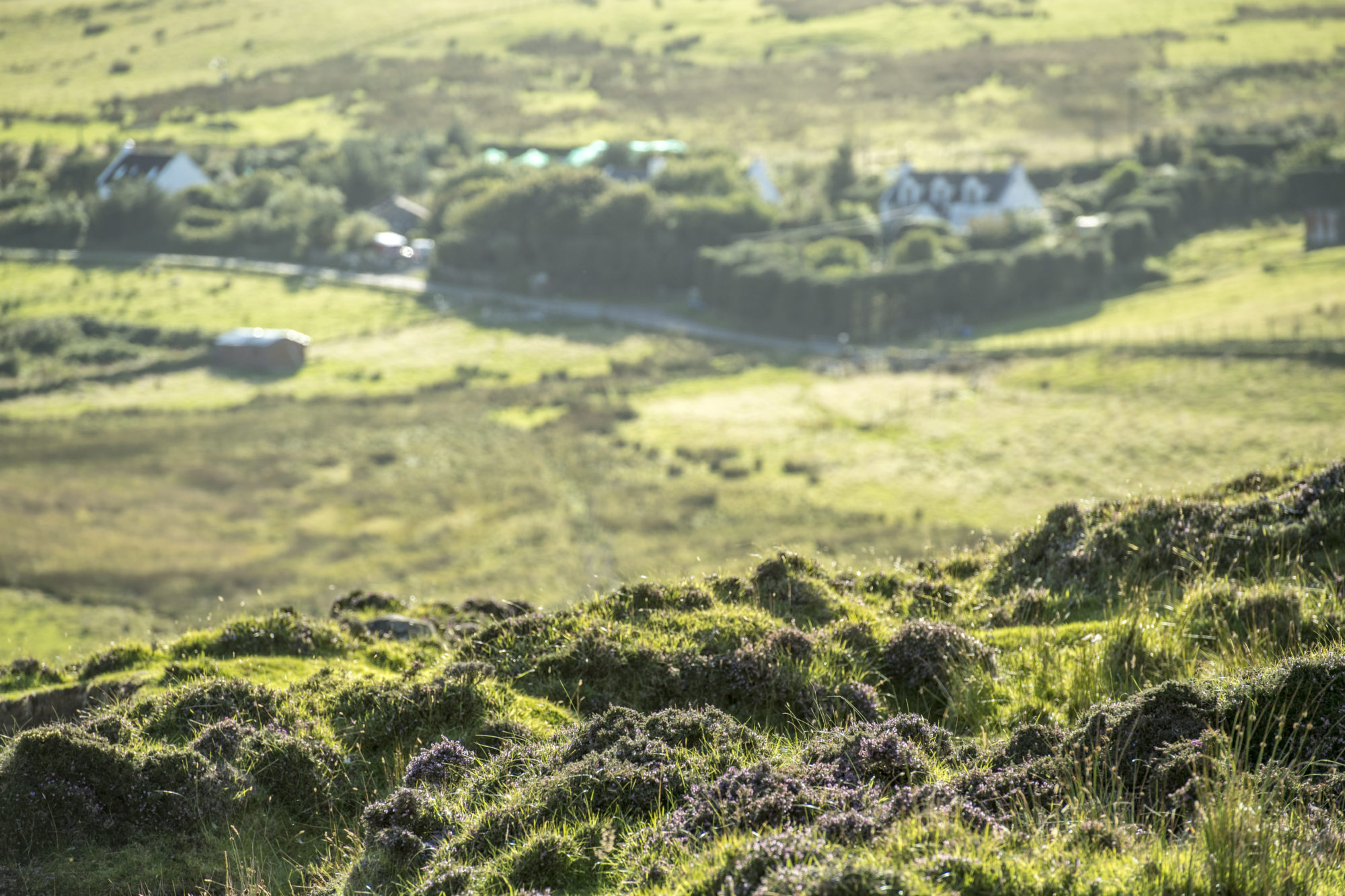 Foto di paesaggio nelle higlans scozzesi