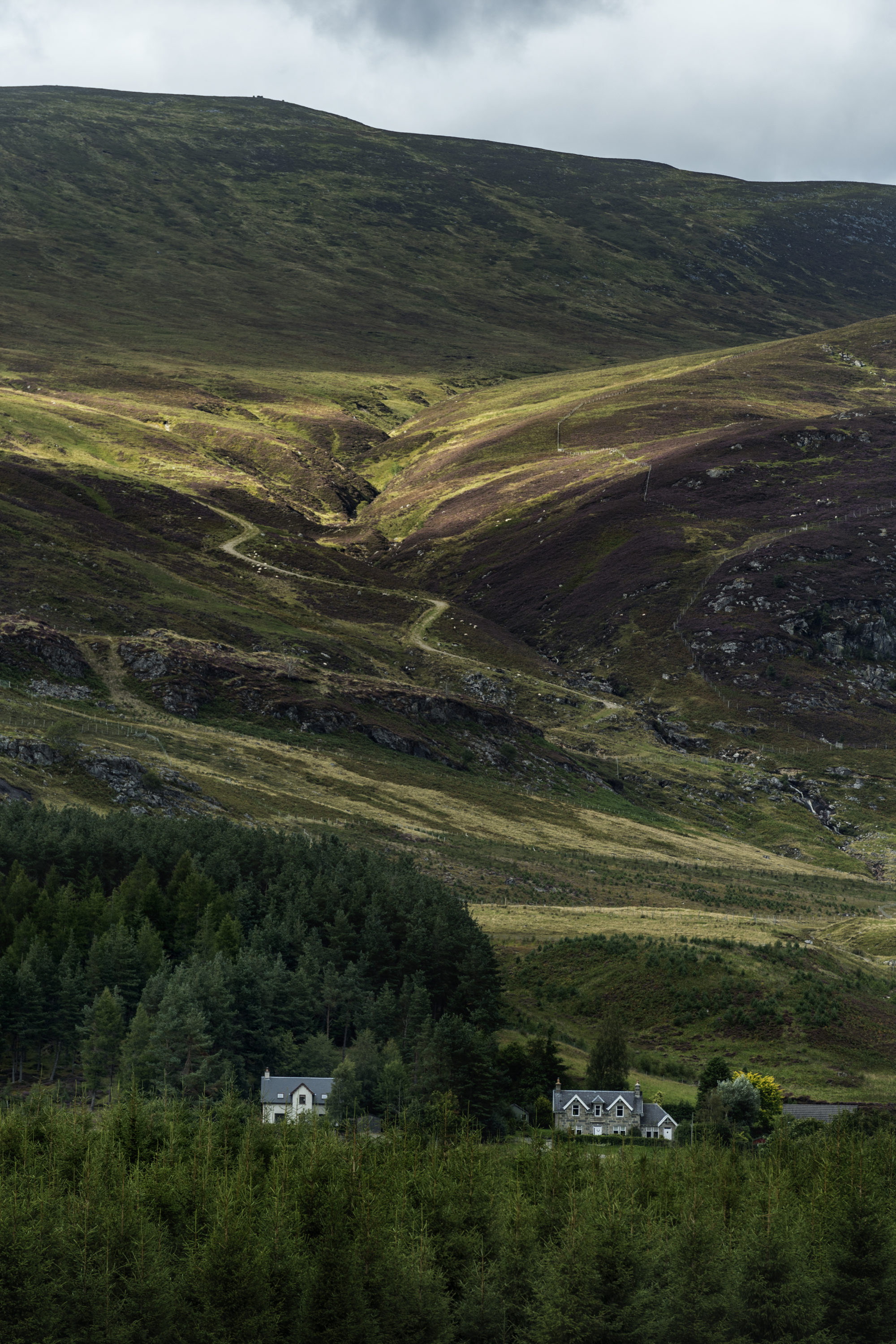 Foto di Paesaggio delle highlands scozzessi