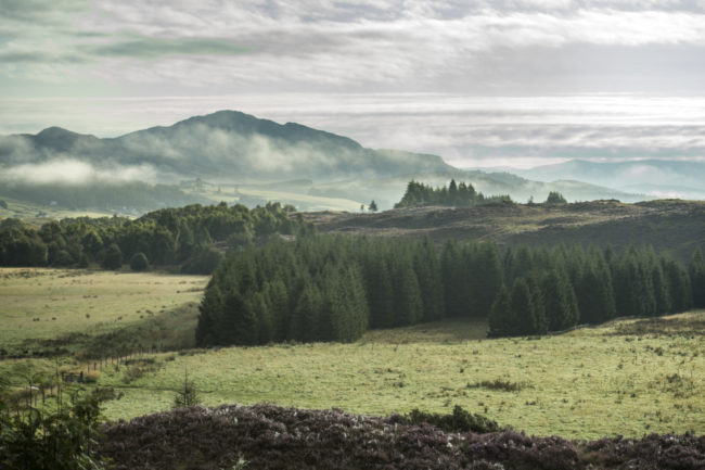 paesaggio delle highlands scozzesi all'alba
