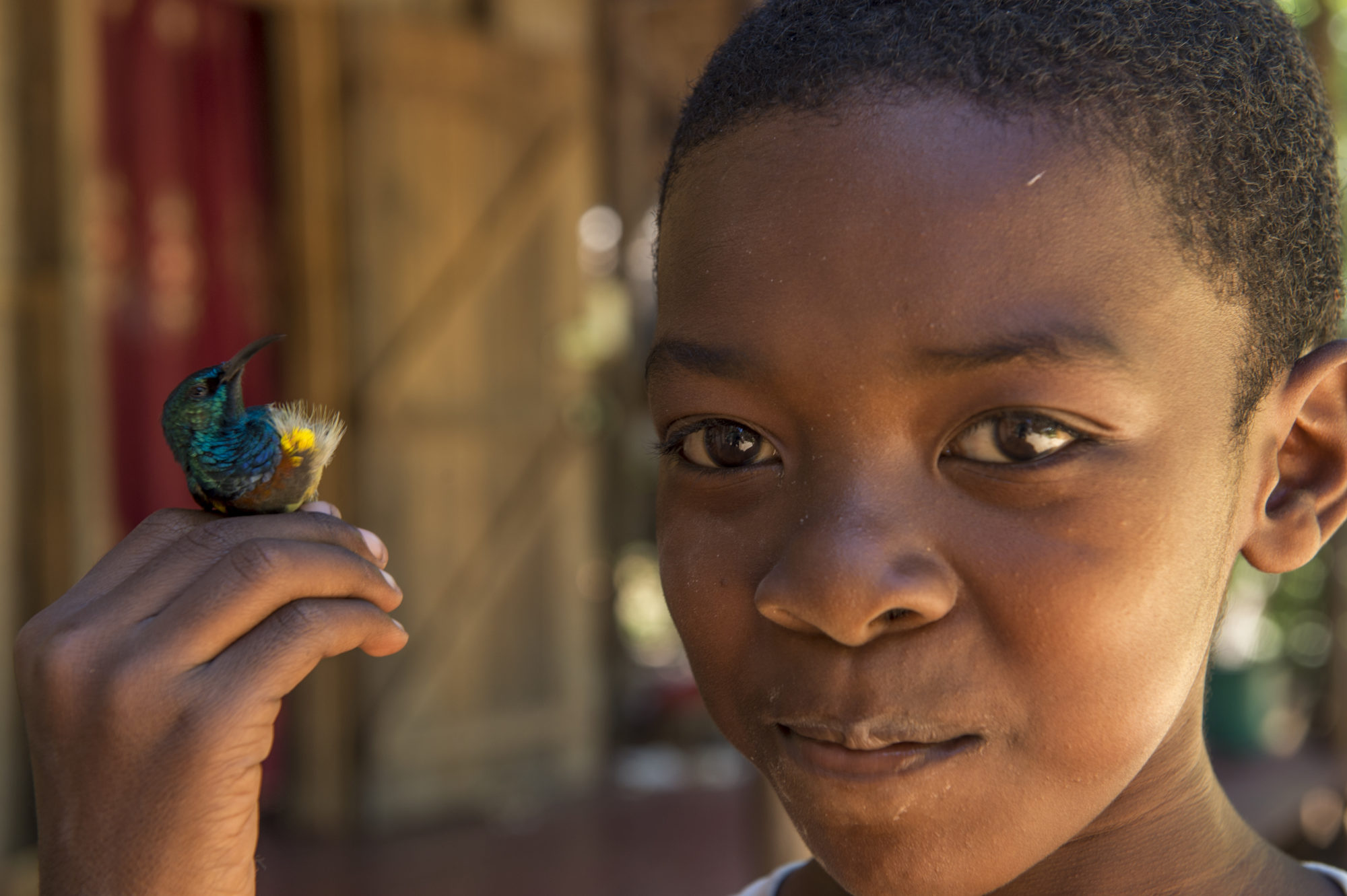 Foto di un bambino tiene in mano un colibri