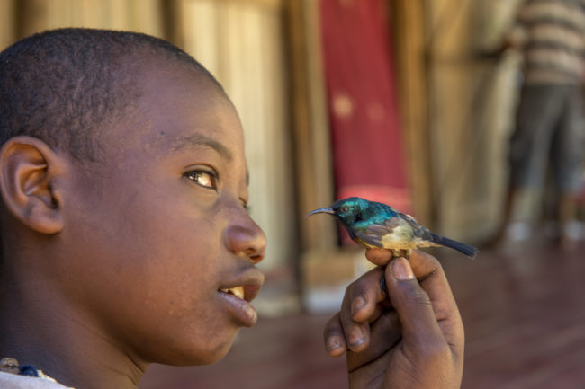 un bambino tiene in mano un colibri