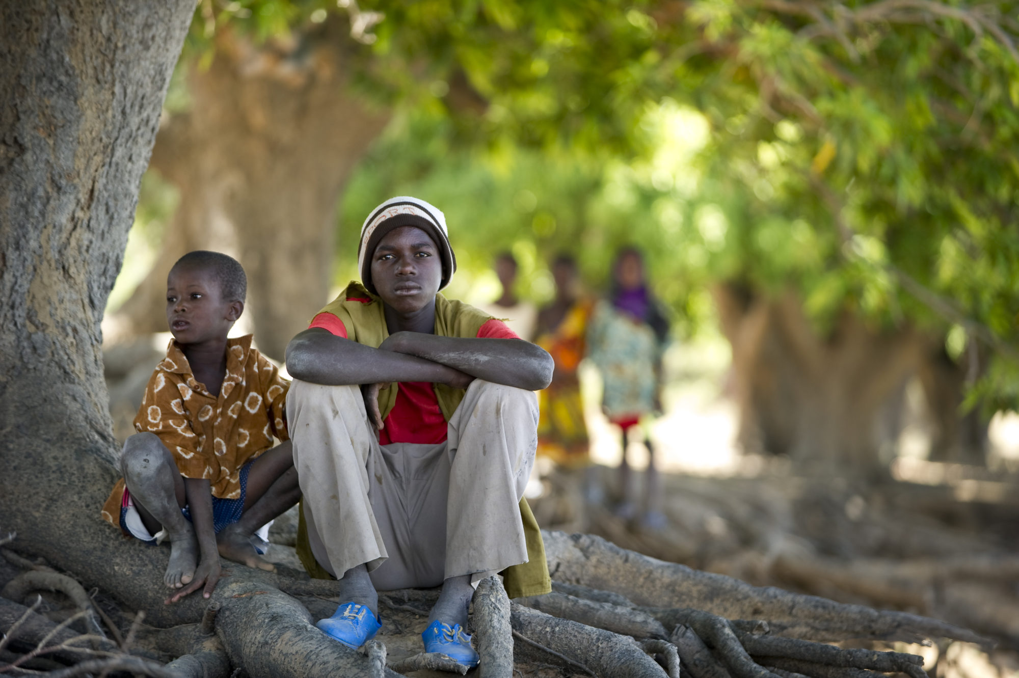 Foto di Due bambini seduti sotto ad un albero di mango