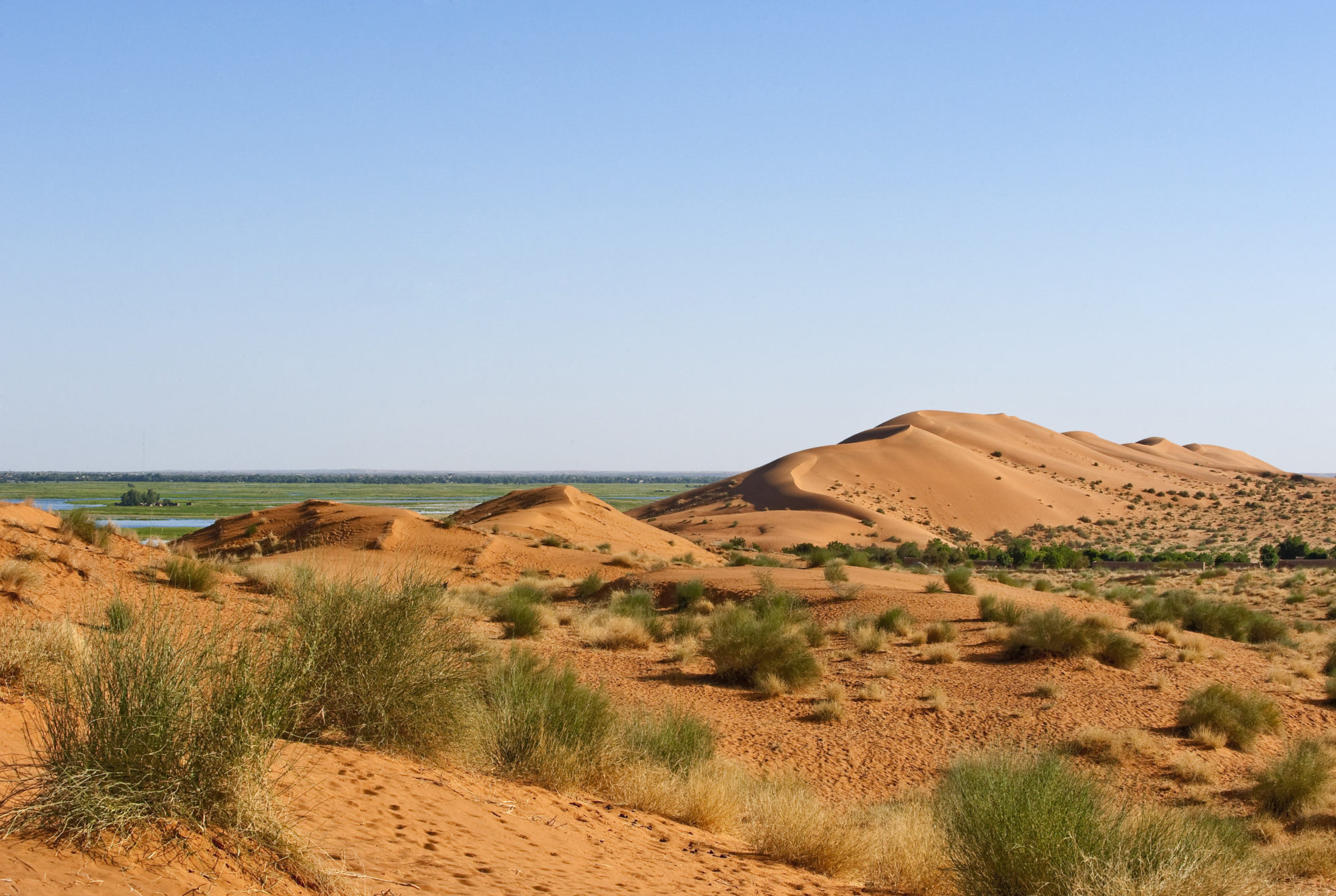 Foto di Il fiume Niger visto dalla Gran dune du Gao