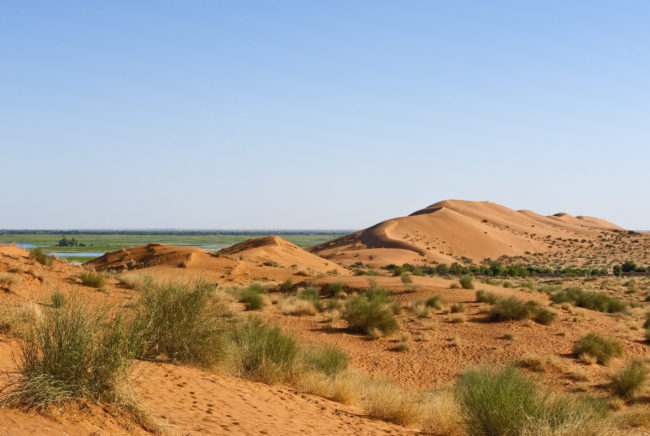 Il fiume Niger visto dalla Gran dune du Gao
