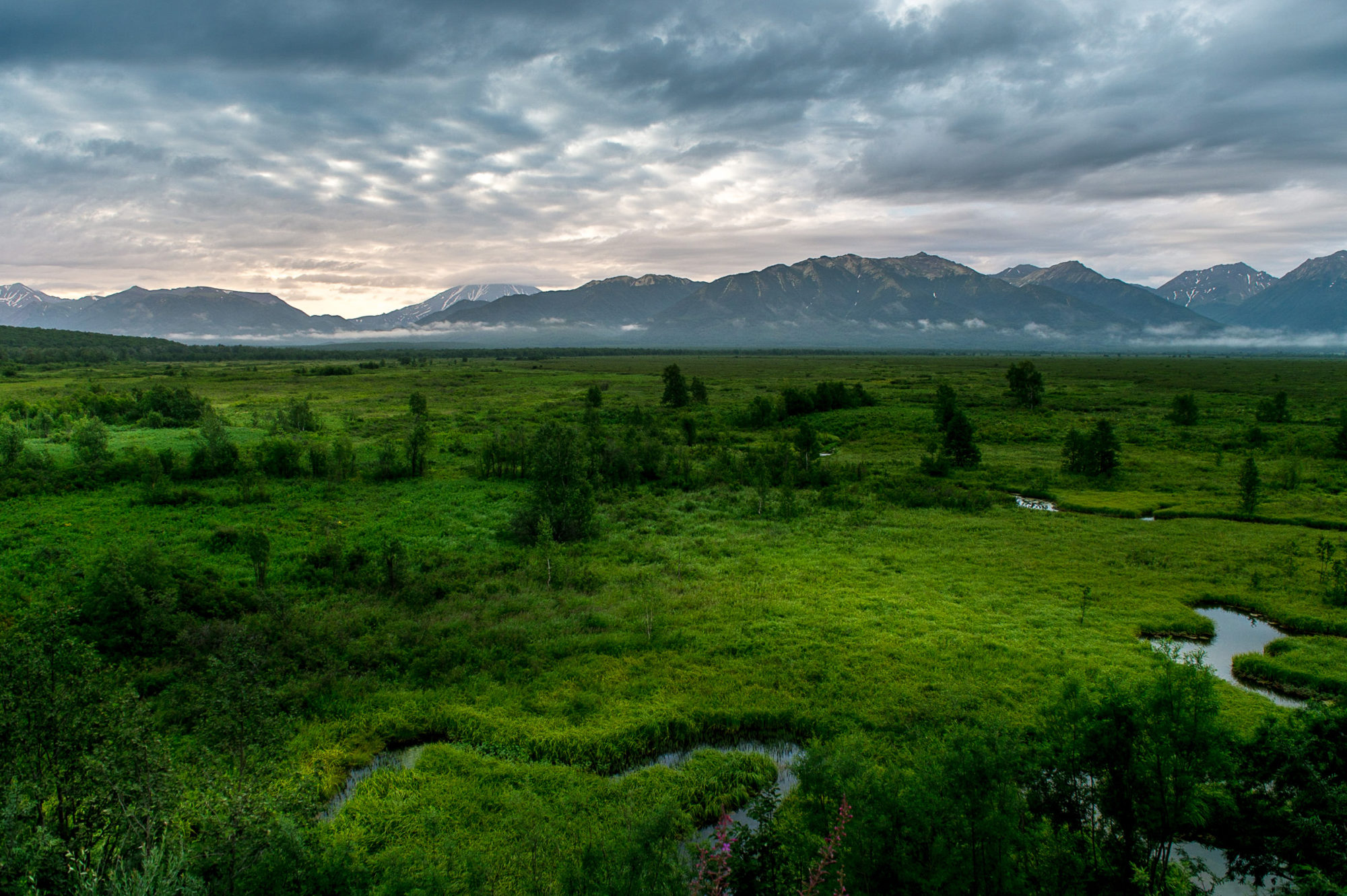 Foto di montagne sullo sfondo della tundra kamchatka