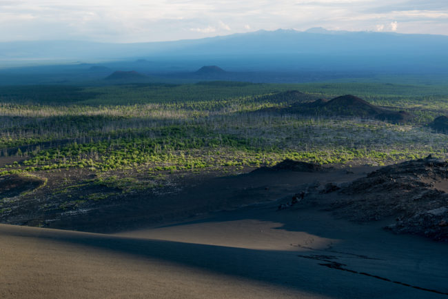 la natura si sta riprendendo ciò che un'eruzione vulcanica ha cancellato tre anni fa