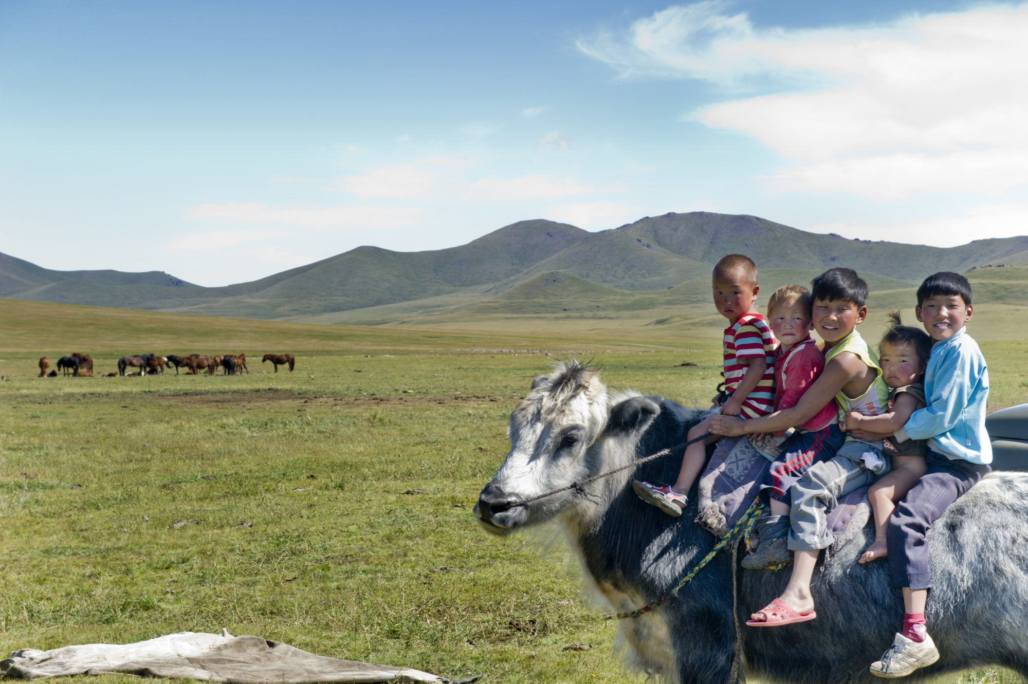 Foto di Bambini su una mucca