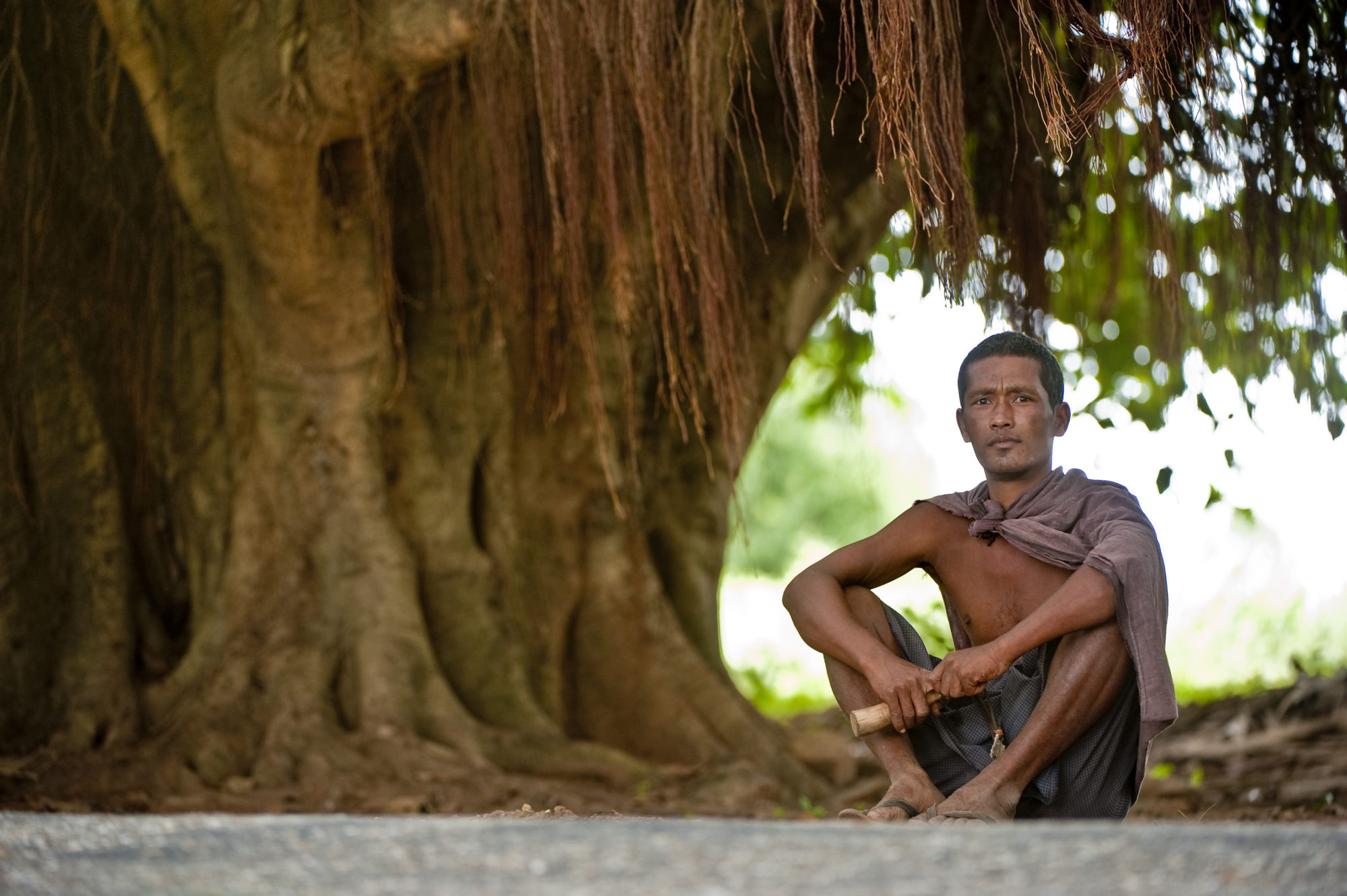 Foto di Uomo con fionda sotto un Ficus monumentale