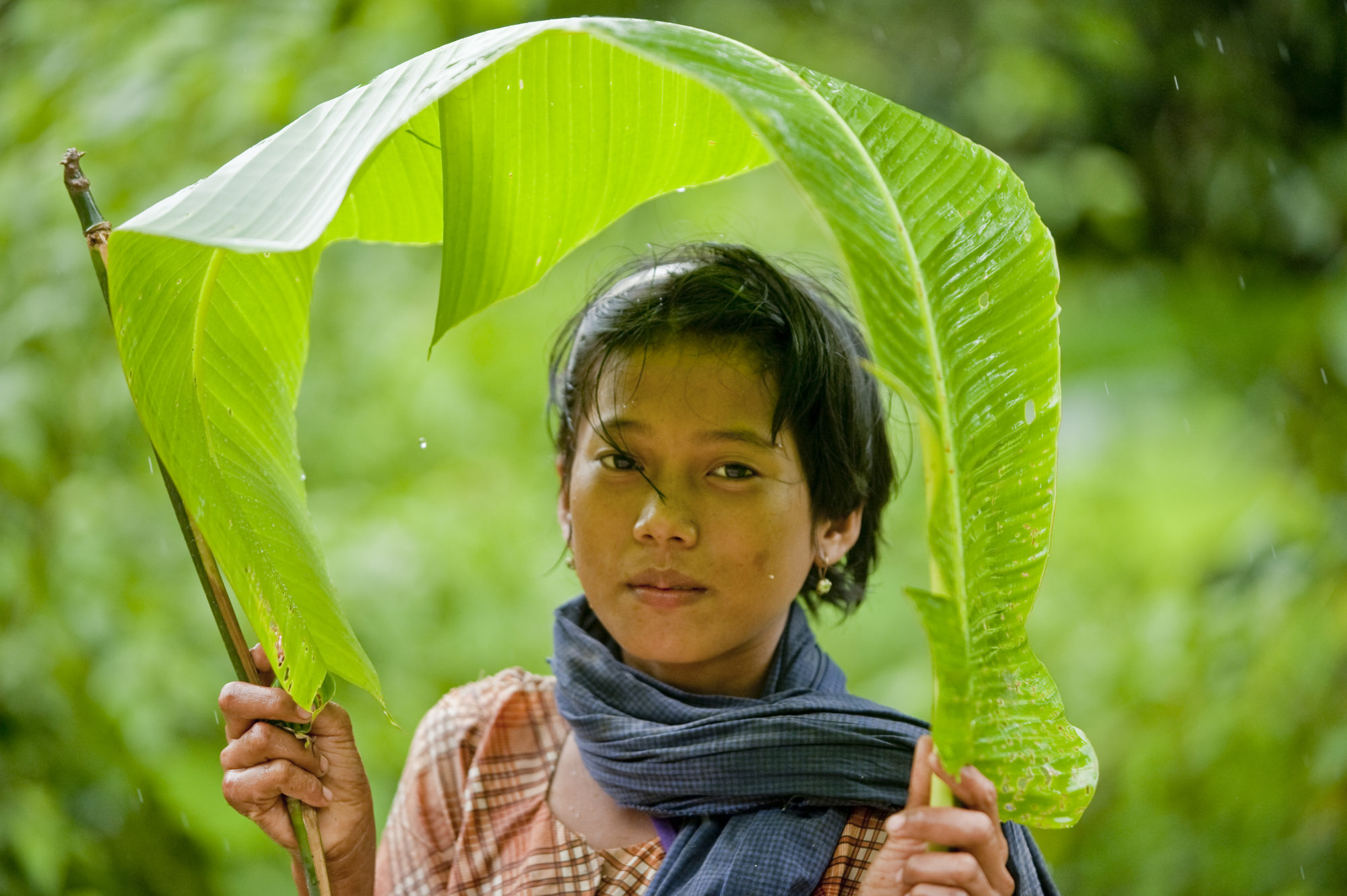 Foto di Ragazzina si ripara dalla pioggia con un foglia in Myanmar