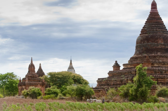 Veduta del paesaggio della valle di Bagan con i suoi numerosi templi