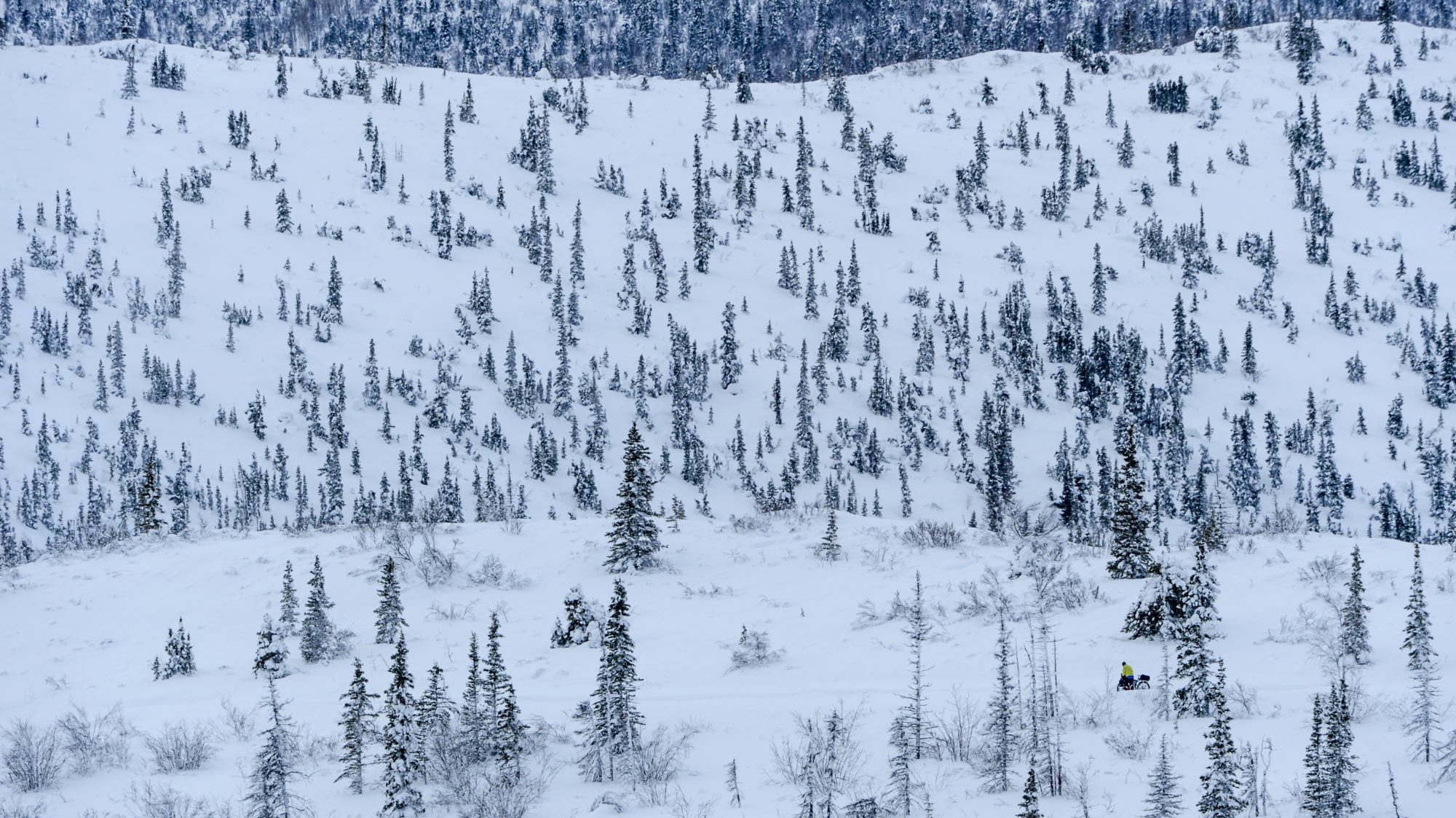 Foto di aldo mazzocchi spinge la sua fat bike sul trail ricoperto di neve fresca