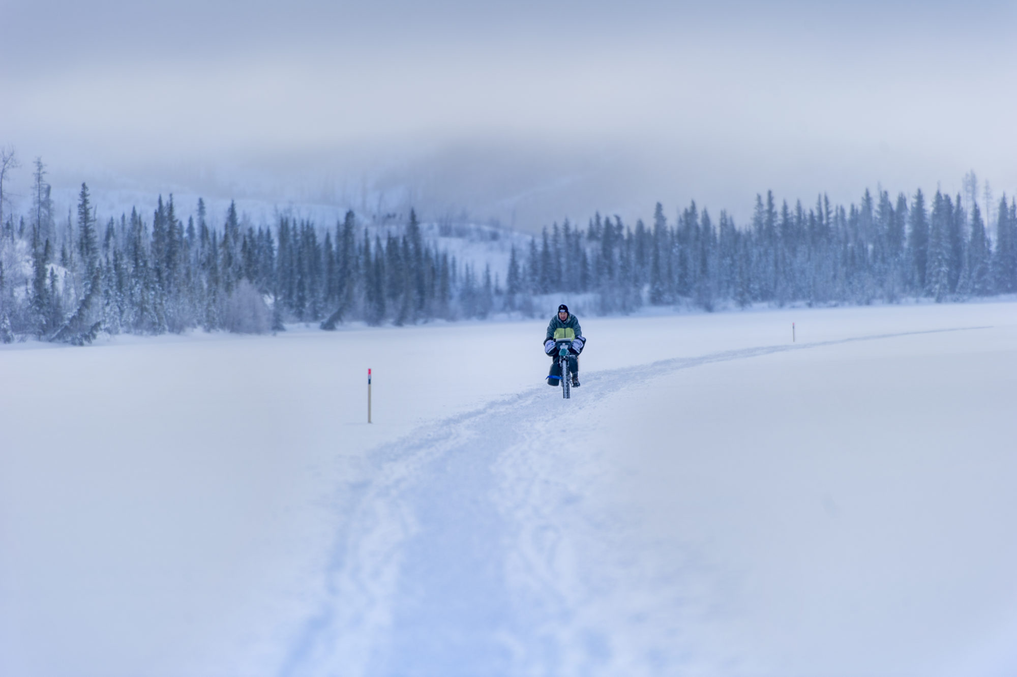 Foto di aldo mazzocchi si avvicina pedalando su un trail della yukon arctic ultra