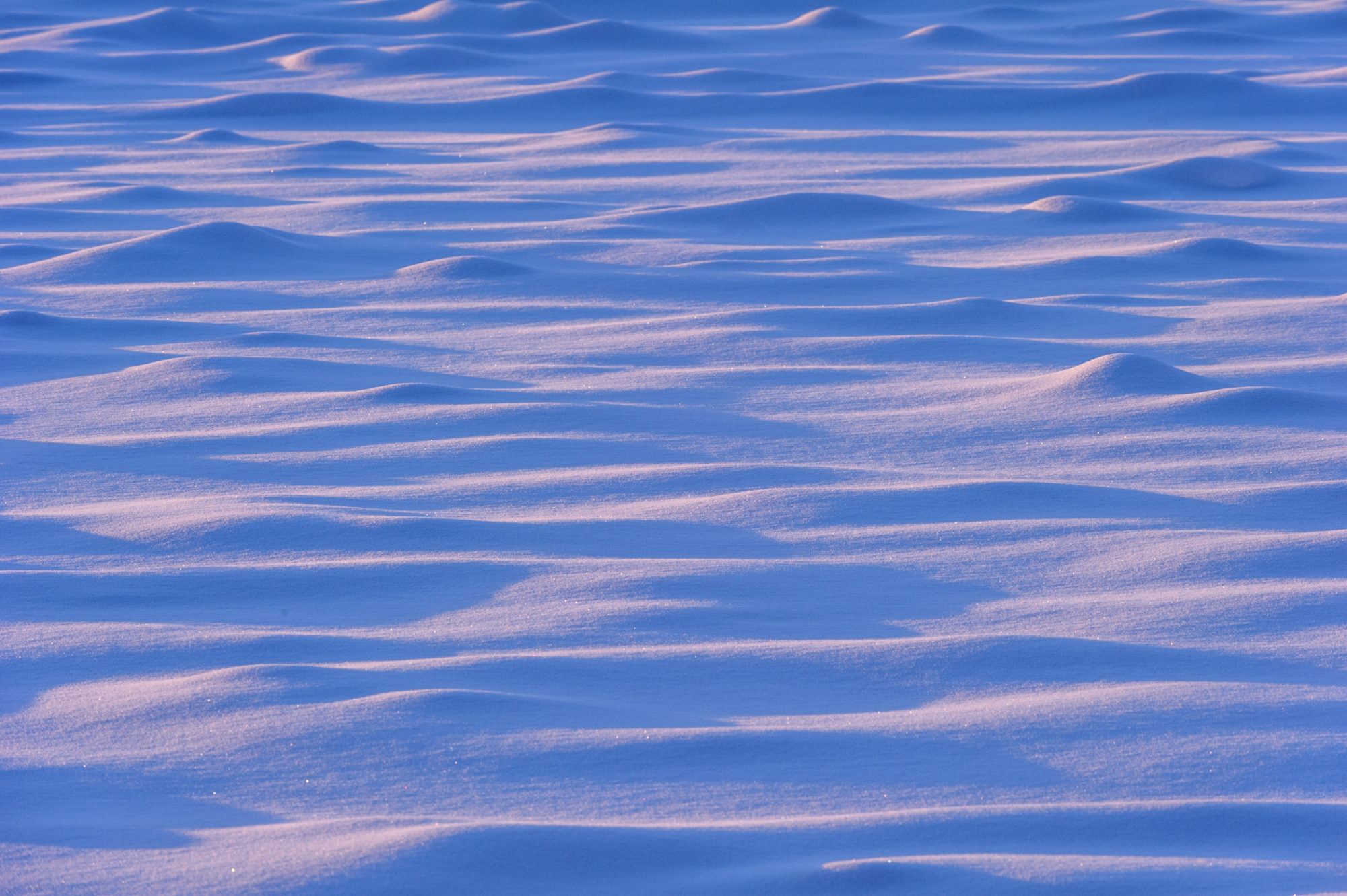 Foto di la superficie ghiacciata ricoperta di neve del fiume ghiacciato