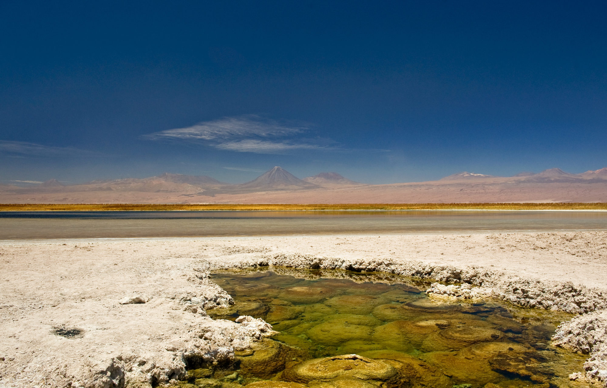Foto di vulcano licanacabur sullo sfondo di una laguna in cile
