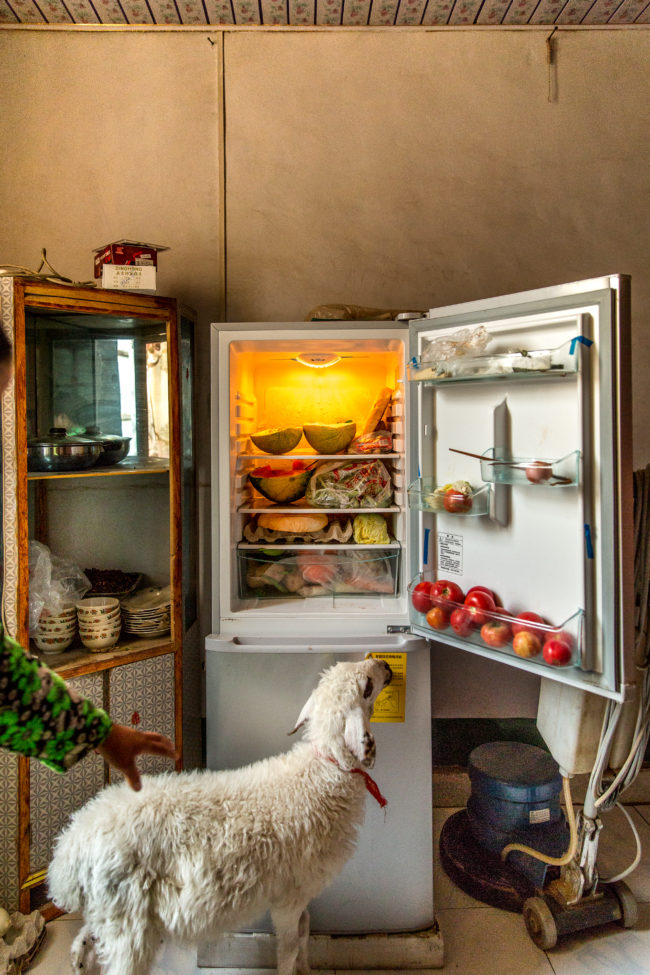 Interno di una casa di Turpan con frigorifero e pecora