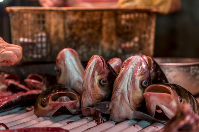 Teste di pesci in vendita al mercato di Guangzhou