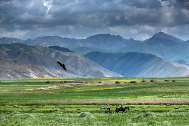 Kirghizistan: agricoltori verso il passo del Torugart