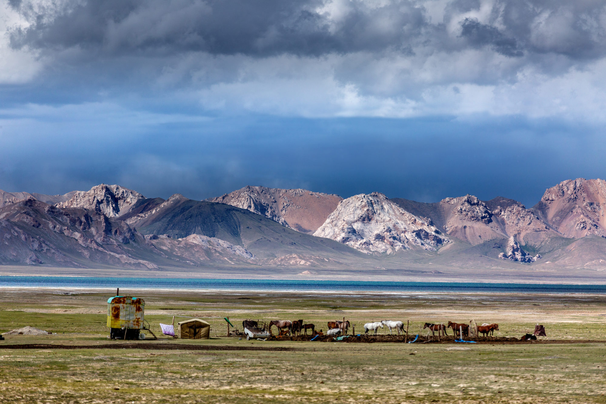Foto di kighizistan,un gruppo di nomadi accampato con la loro casa e i cavalli