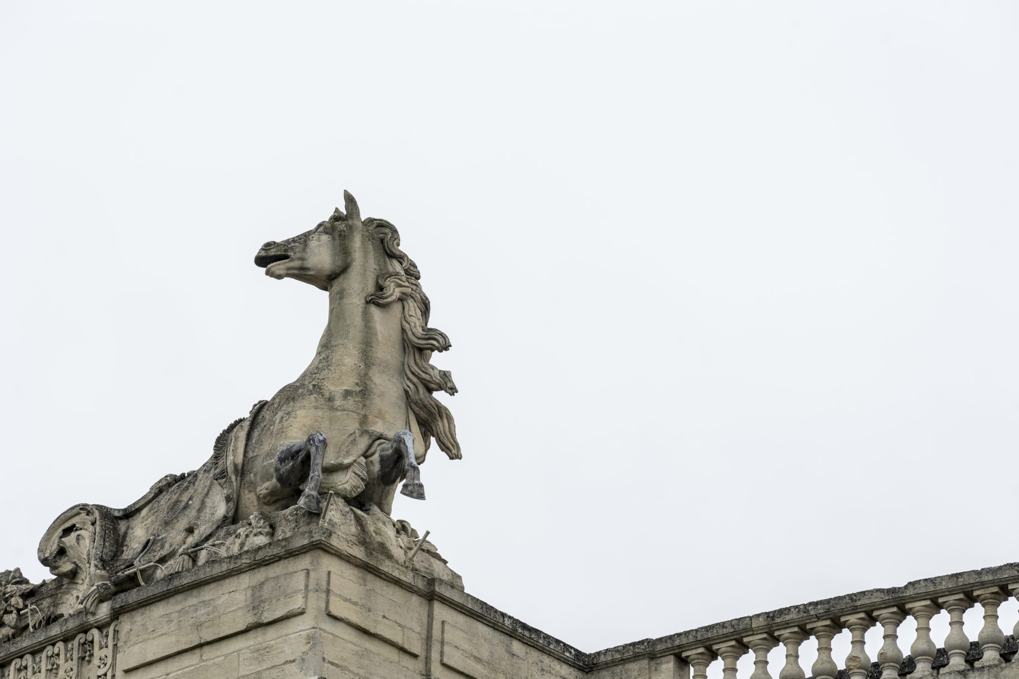 Foto di Statua equestre del Castello di Chantilly