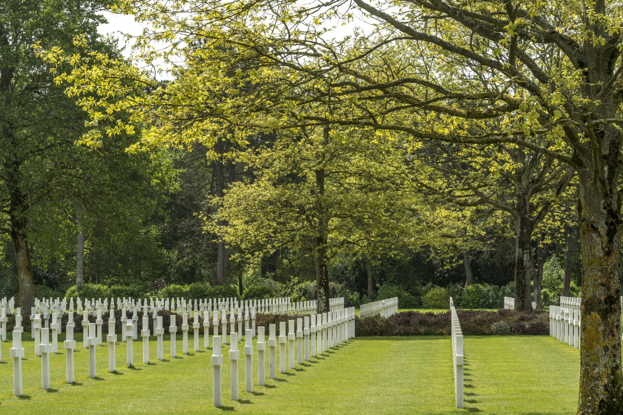 Foto di Lapidi del Cimitero e monumento alla memoria americano in Normandia
