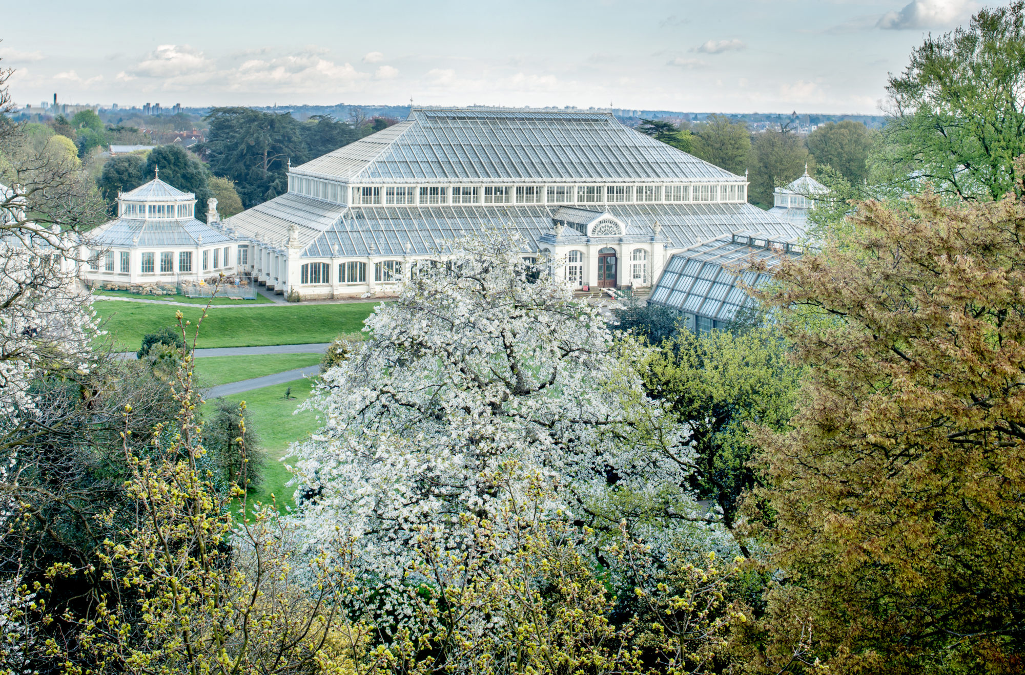 Foto di Giardini Botanici Reali di Kew