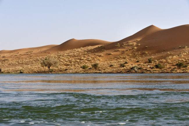 Il deserto del Sahara lambisce il fiume Niger