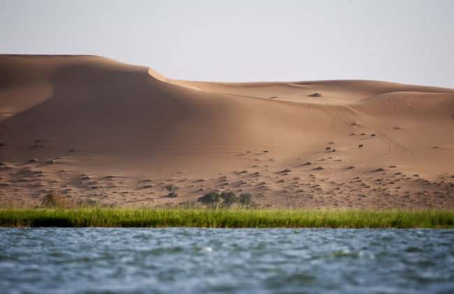 Il deserto del Sahara lambisce il fiume Niger