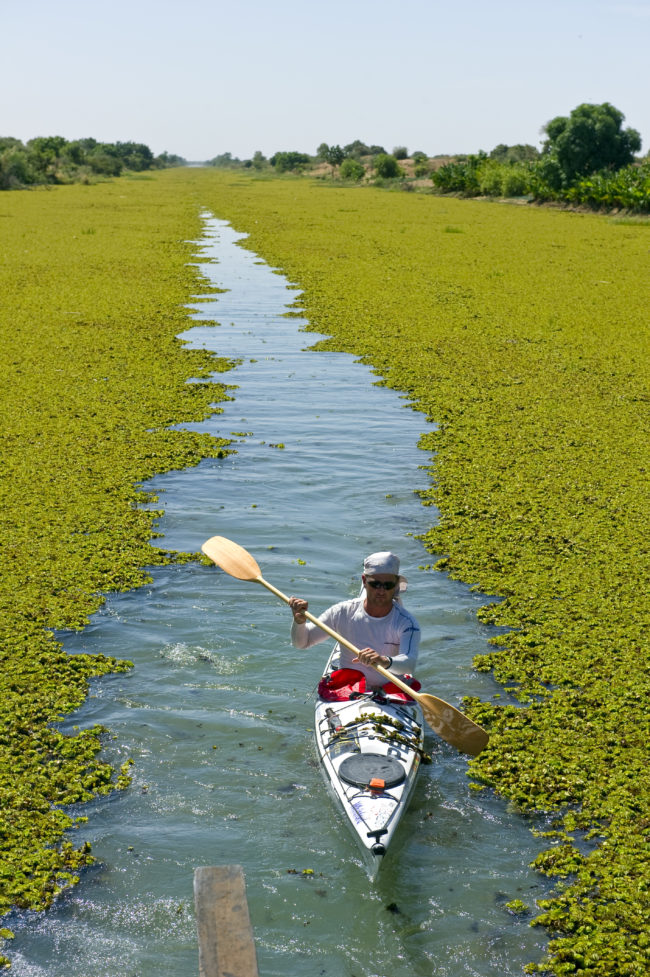 Aldo Mazzocchi segue un'imbarcazione che gli apre un varco tra la vegetazione del fiume Niger