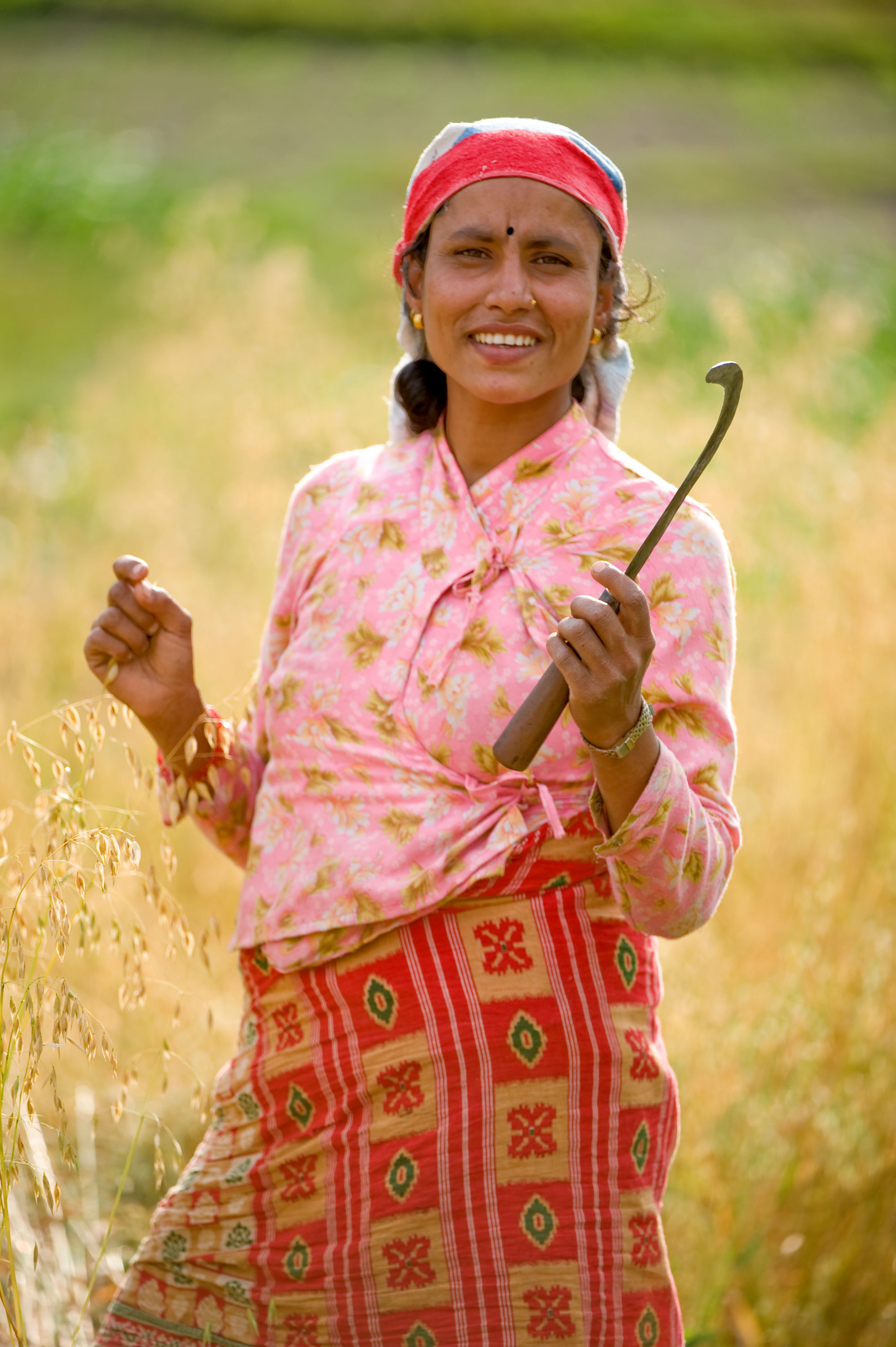 Foto di Raccoglitrice di grano in Nepal