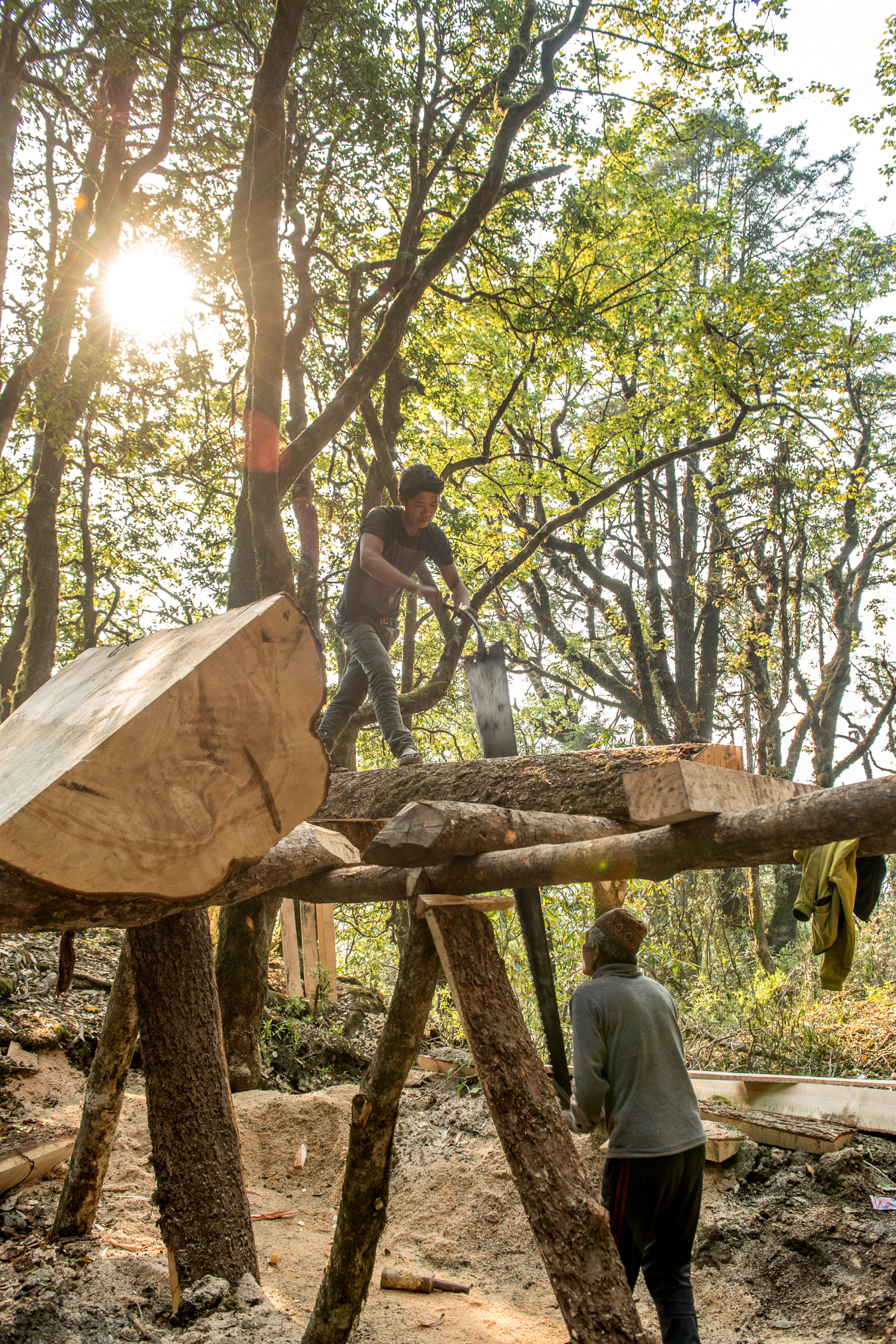 Foto di Padre e figlio che tagliano a mano un tronco di albero per farne delle assi