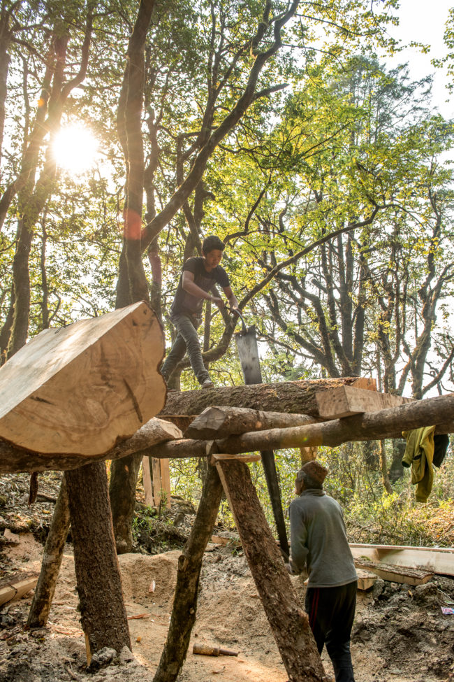 Padre e figlio che tagliano a mano un tronco di albero per farne delle assi