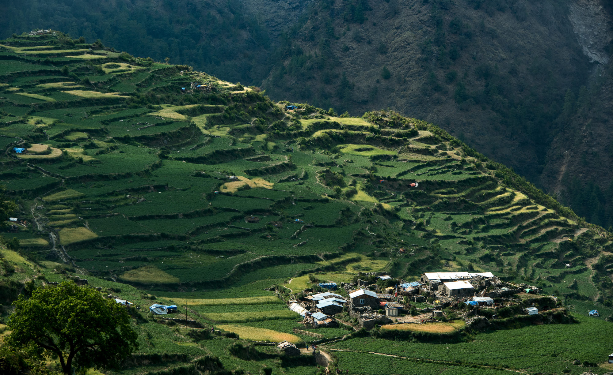 Foto di tamang heritage, paesaggio terrazzato con villaggio