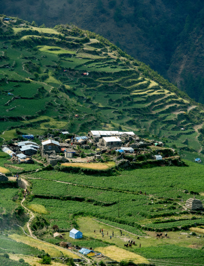 tamang heritage, villaggio e terrazzamenti