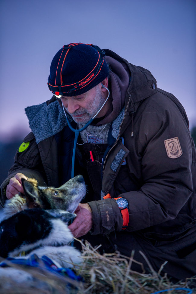 Sergio Maffi capo veterinario visita un cane