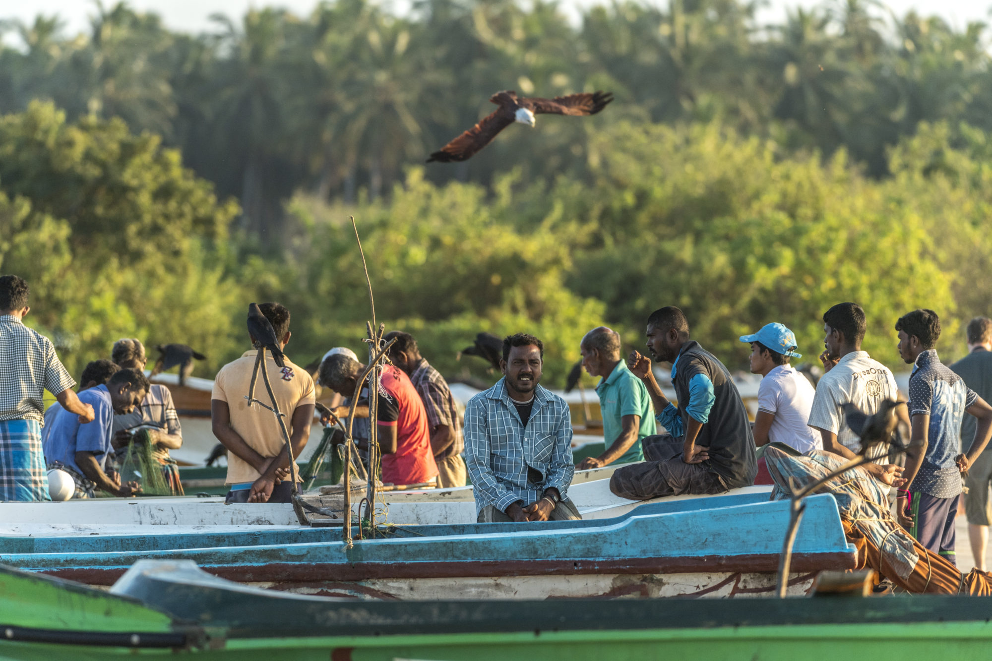 Foto di Alba a passekudah bay, i pescatori tornati a terra dopo la pesca