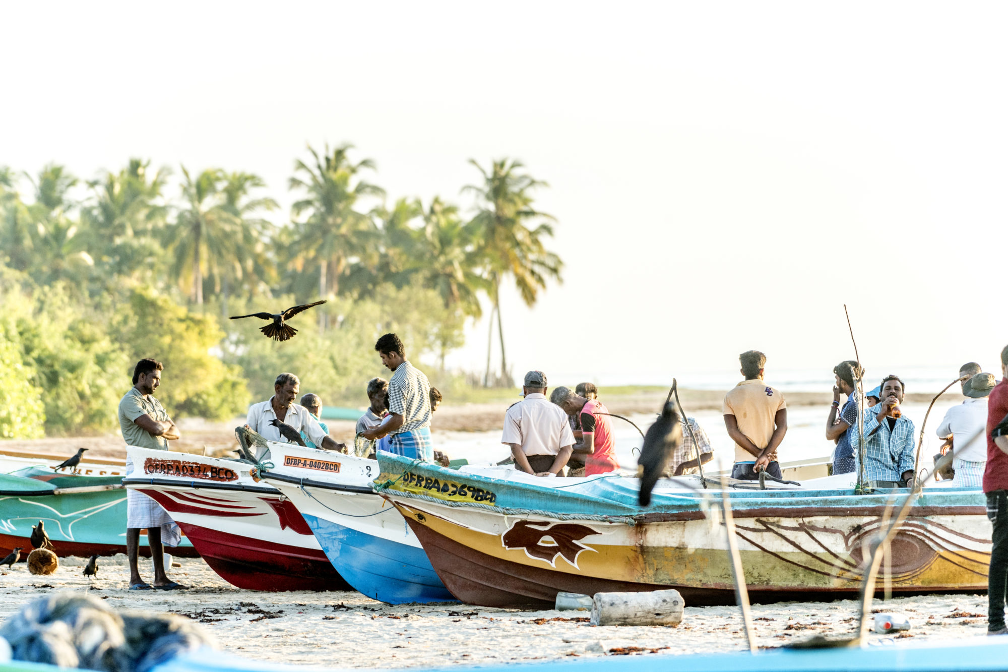 Foto di passekudah bay, i pescatori tornati a terra dopo la pesca