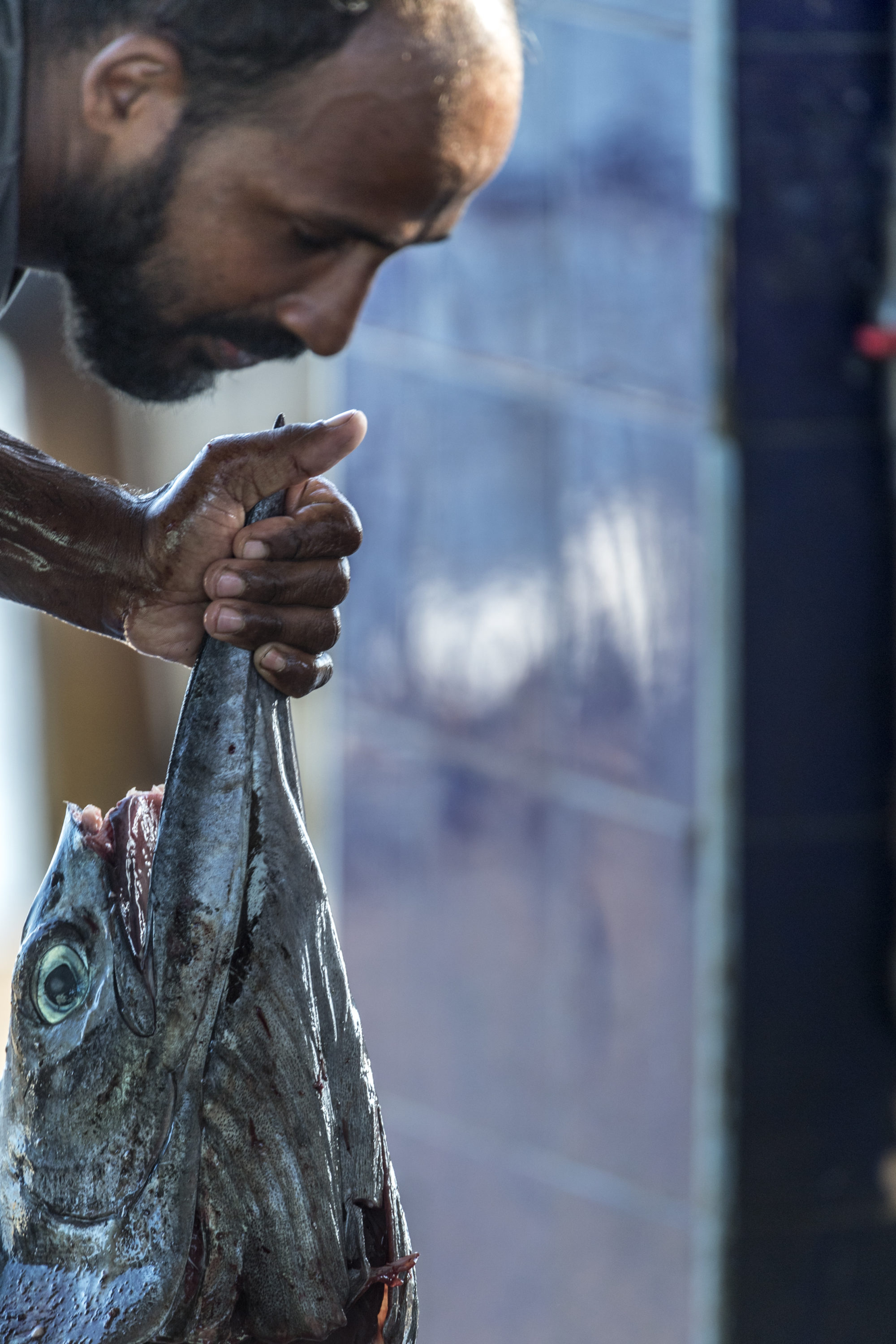 Foto di Un pescatore pulisce il pesce appena pescato