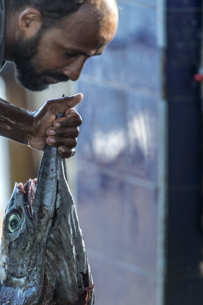 Un pescatore pulisce il pesce appena pescato