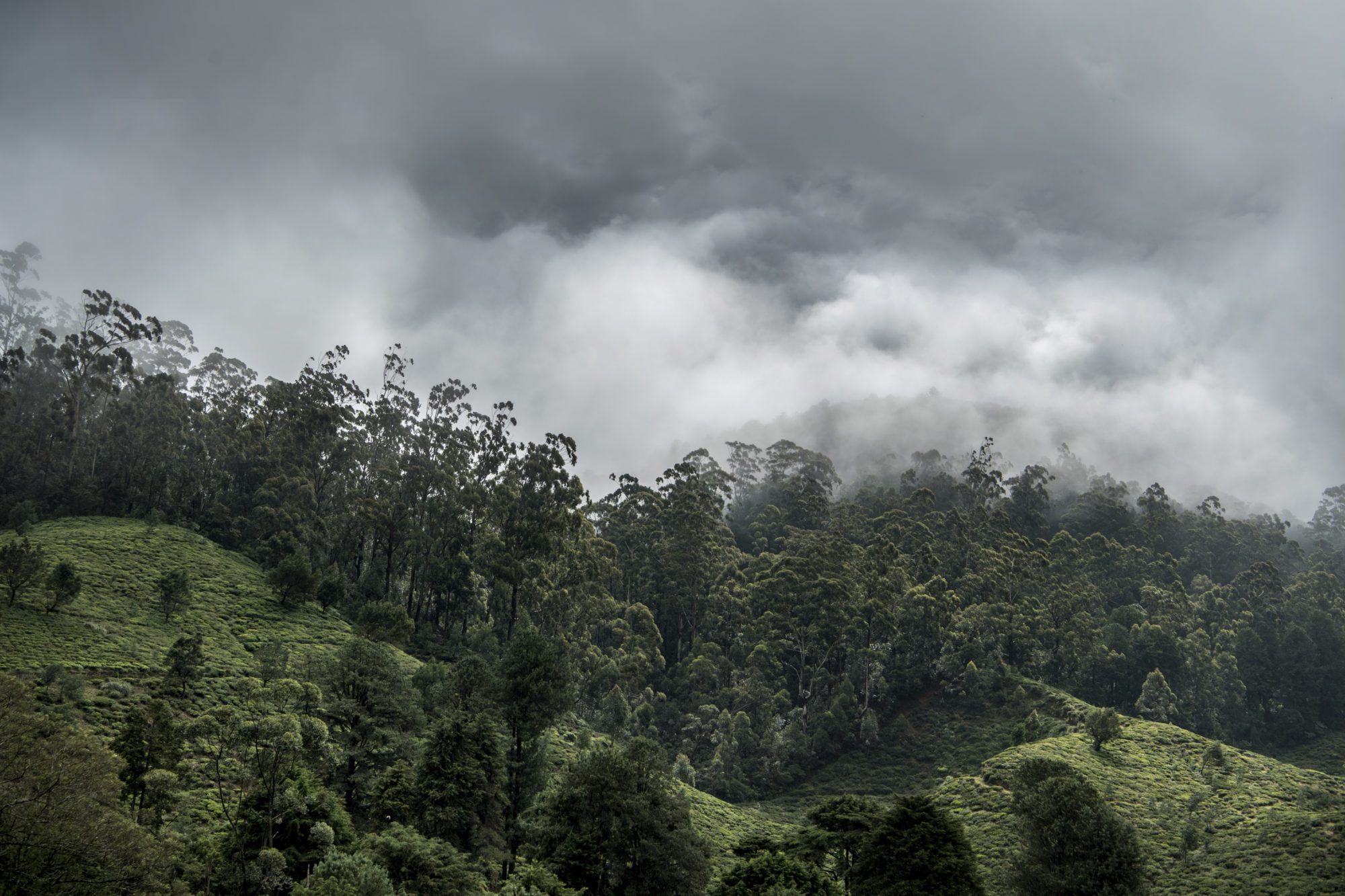 Foto di nubi avvolgono una foresta nell’area di ella
