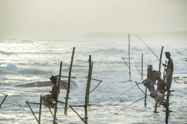 pescatori di Weligama all'alba