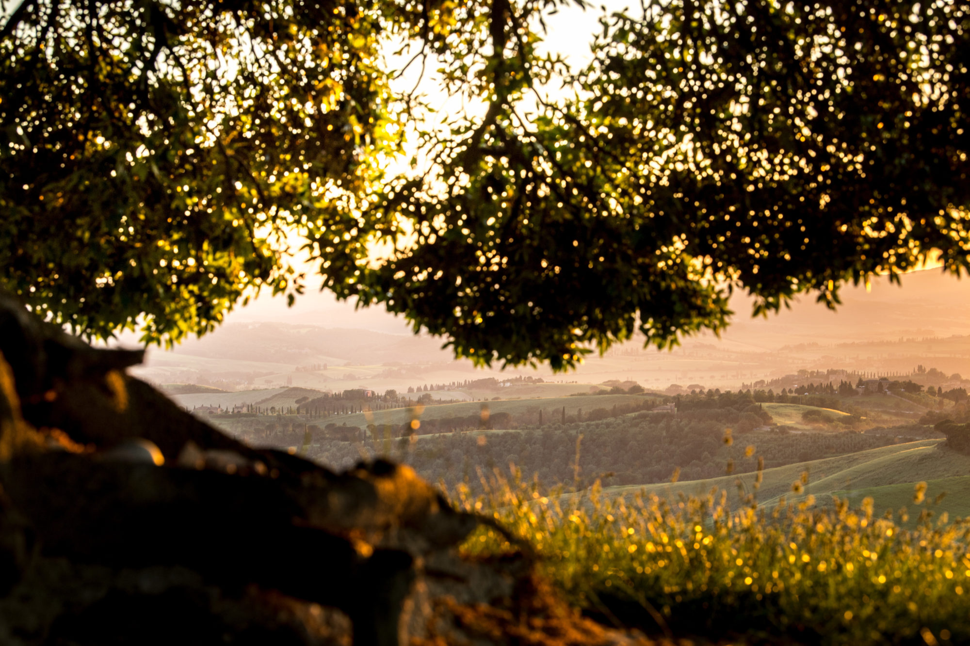 Foto di Toscana