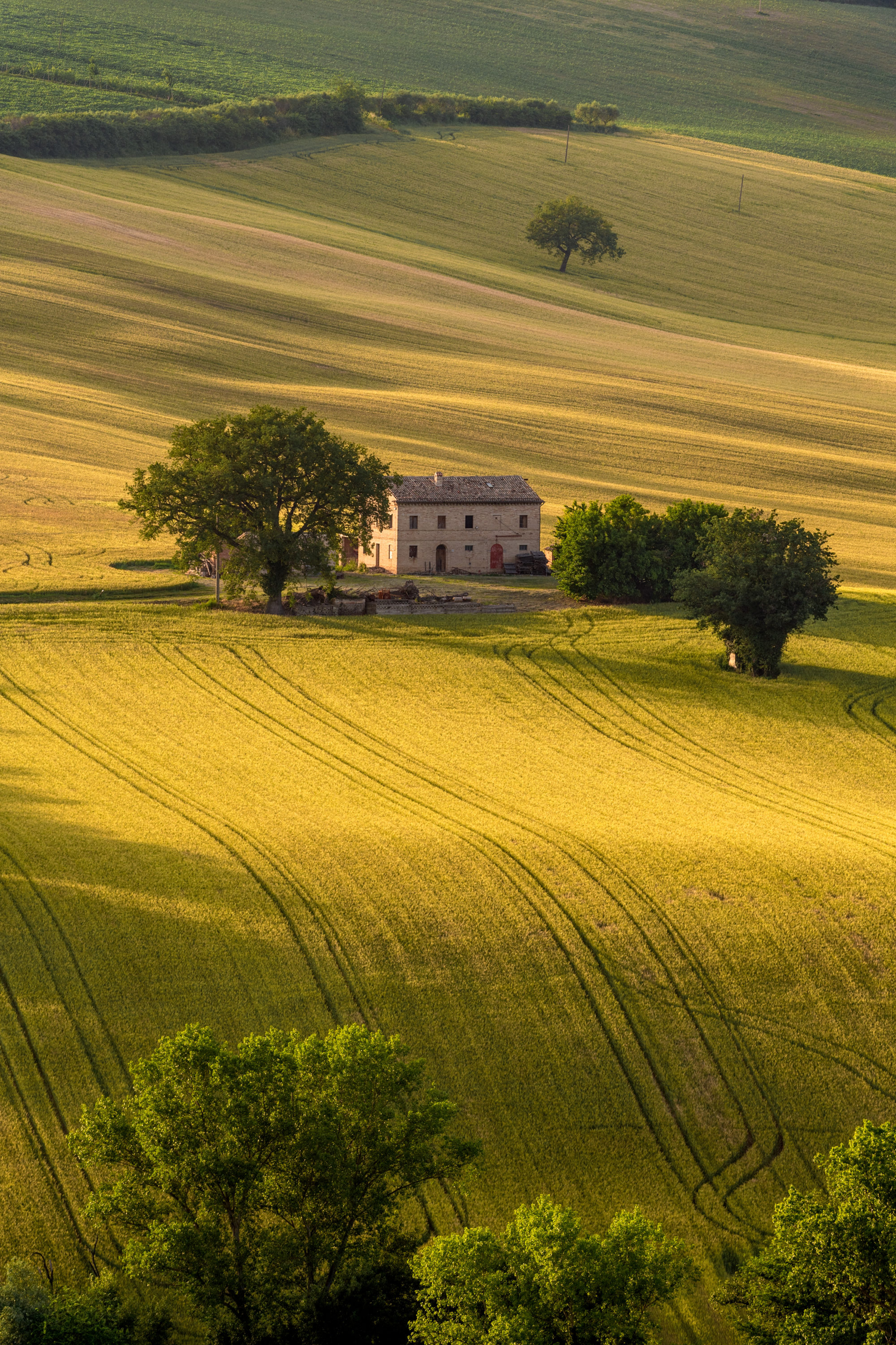 Foto di Toscana